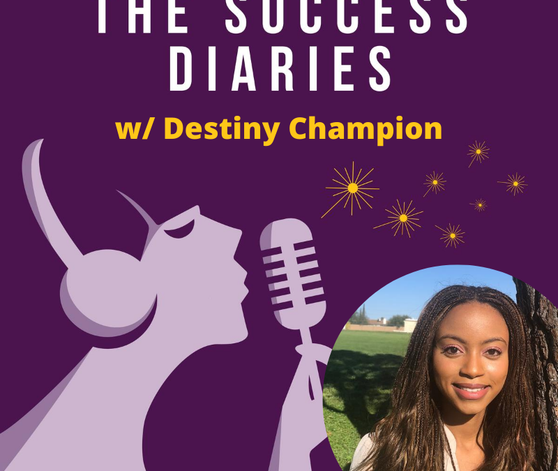 Destiny Champion: Creating success through conscious self awareness