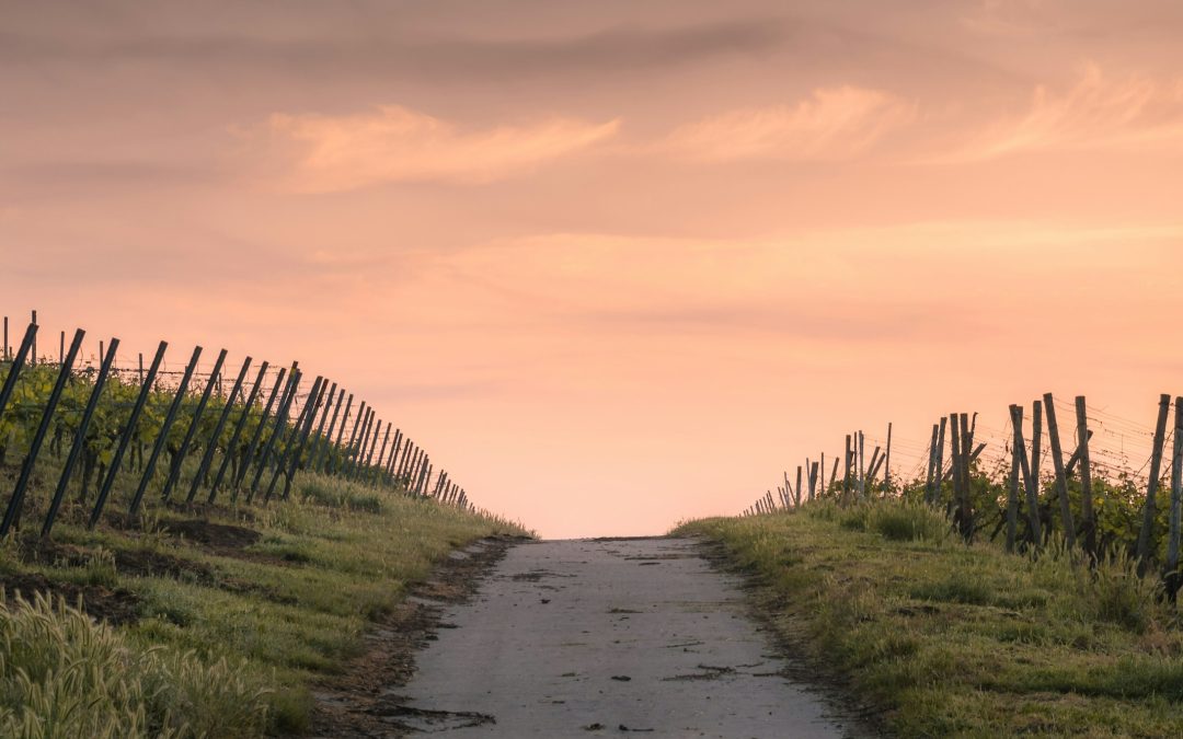 6 Clear Signs You Are Meant to Be an Entrepreneur