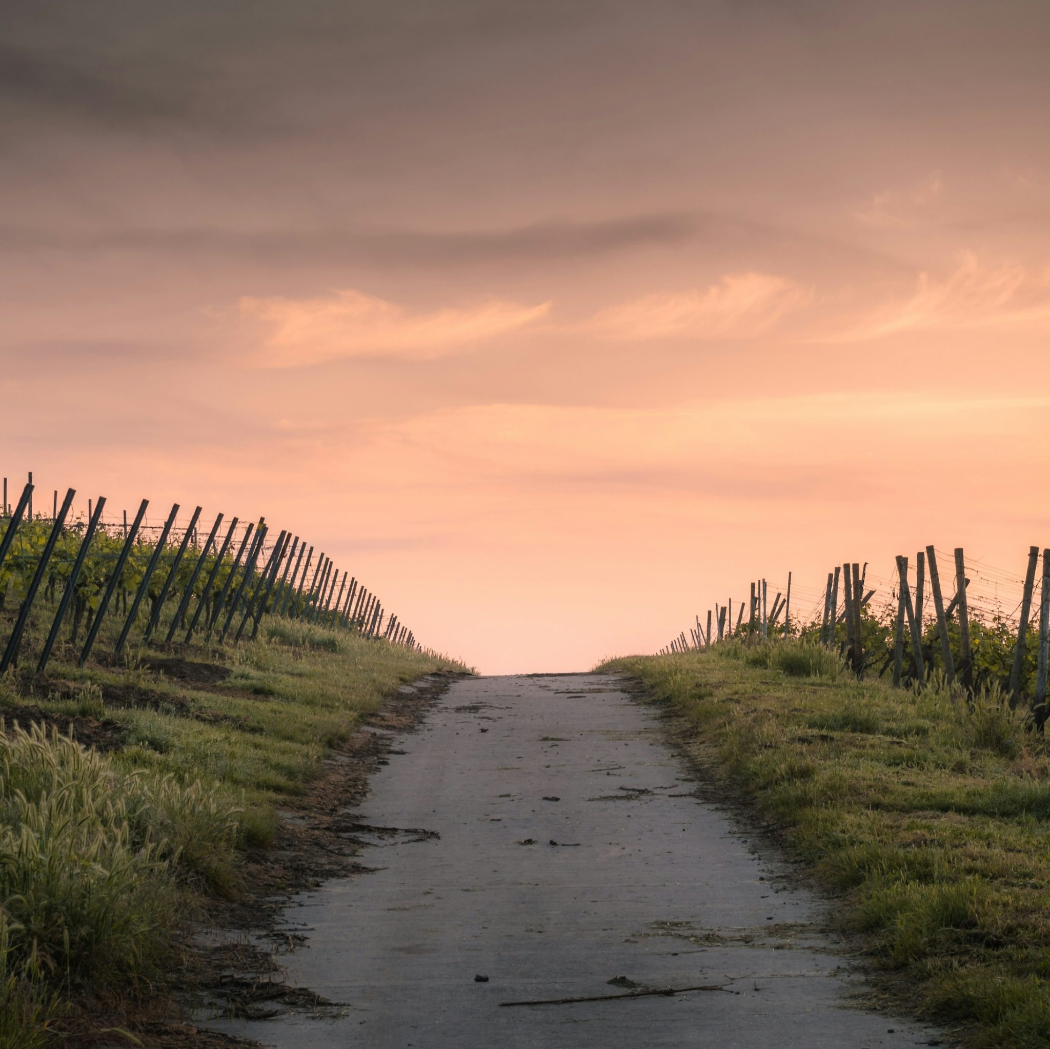 signs you are meant to be an entrepreneur