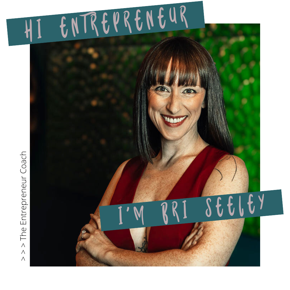 entrepreneur coach